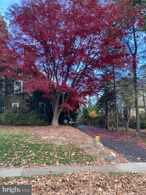 1039 Wellington Road photo 47