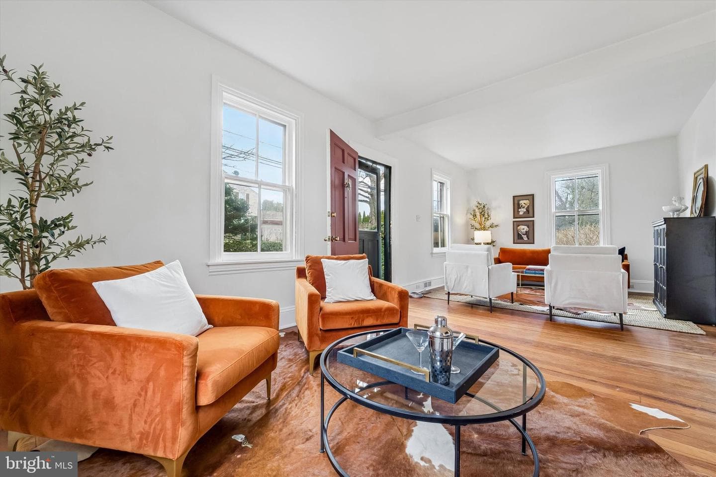 213 Royal Avenue photo 3