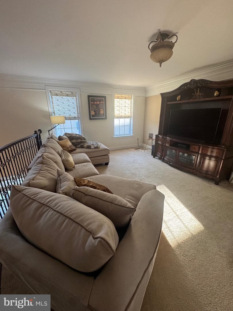 507 Molly Pitcher Drive photo 27