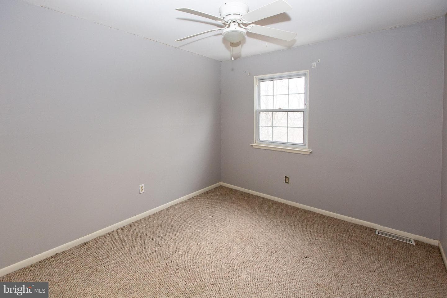 64 Salem Road photo 17