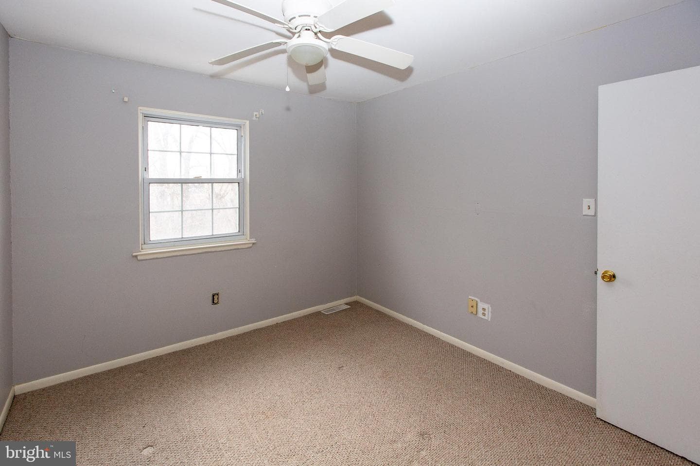 64 Salem Road photo 18