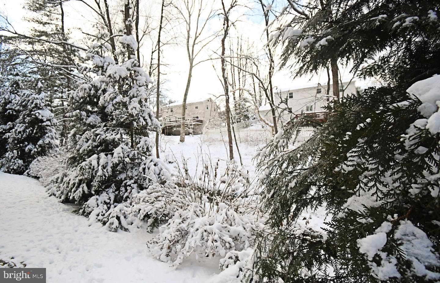 1113 Clark Road photo 59