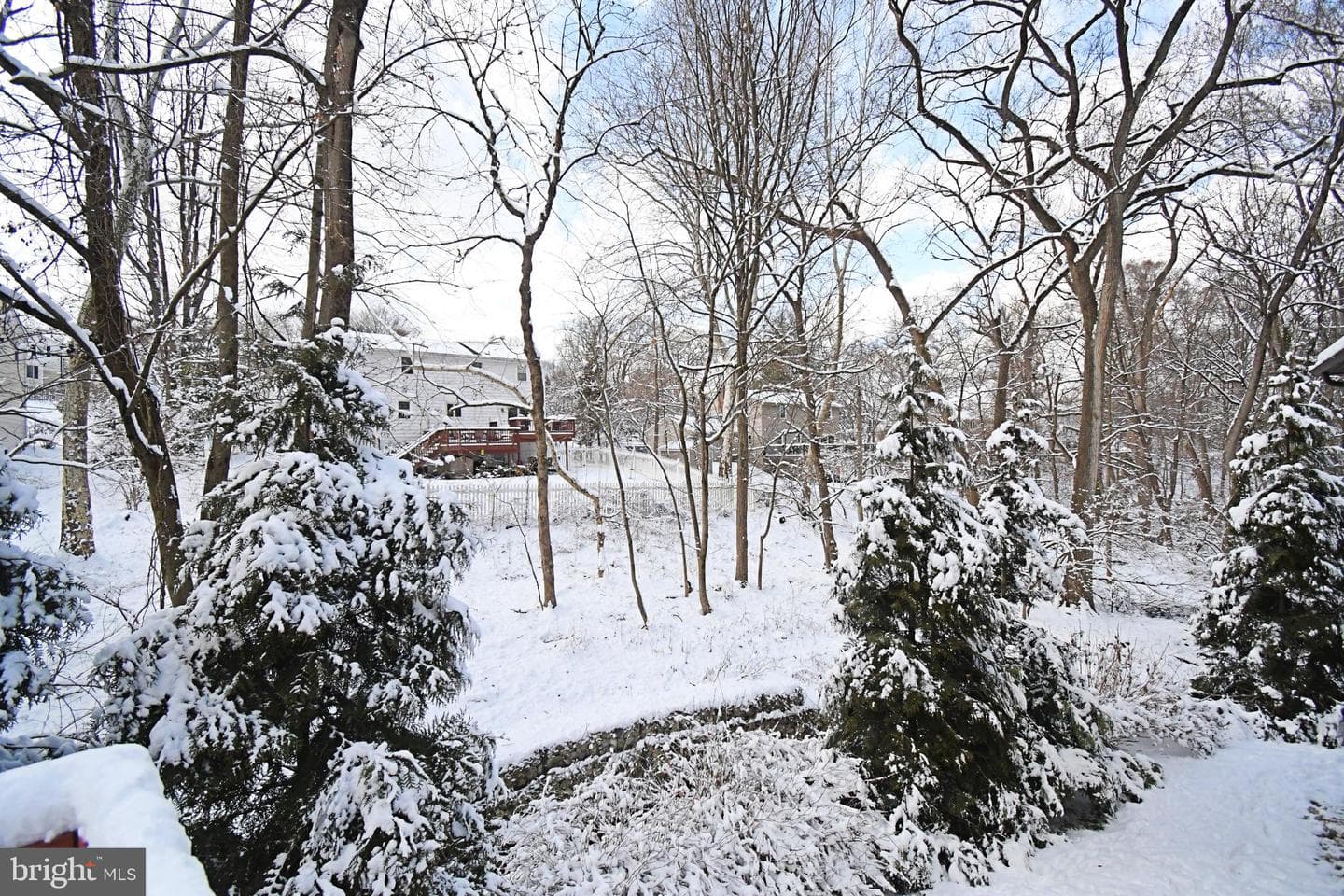 1113 Clark Road photo 66