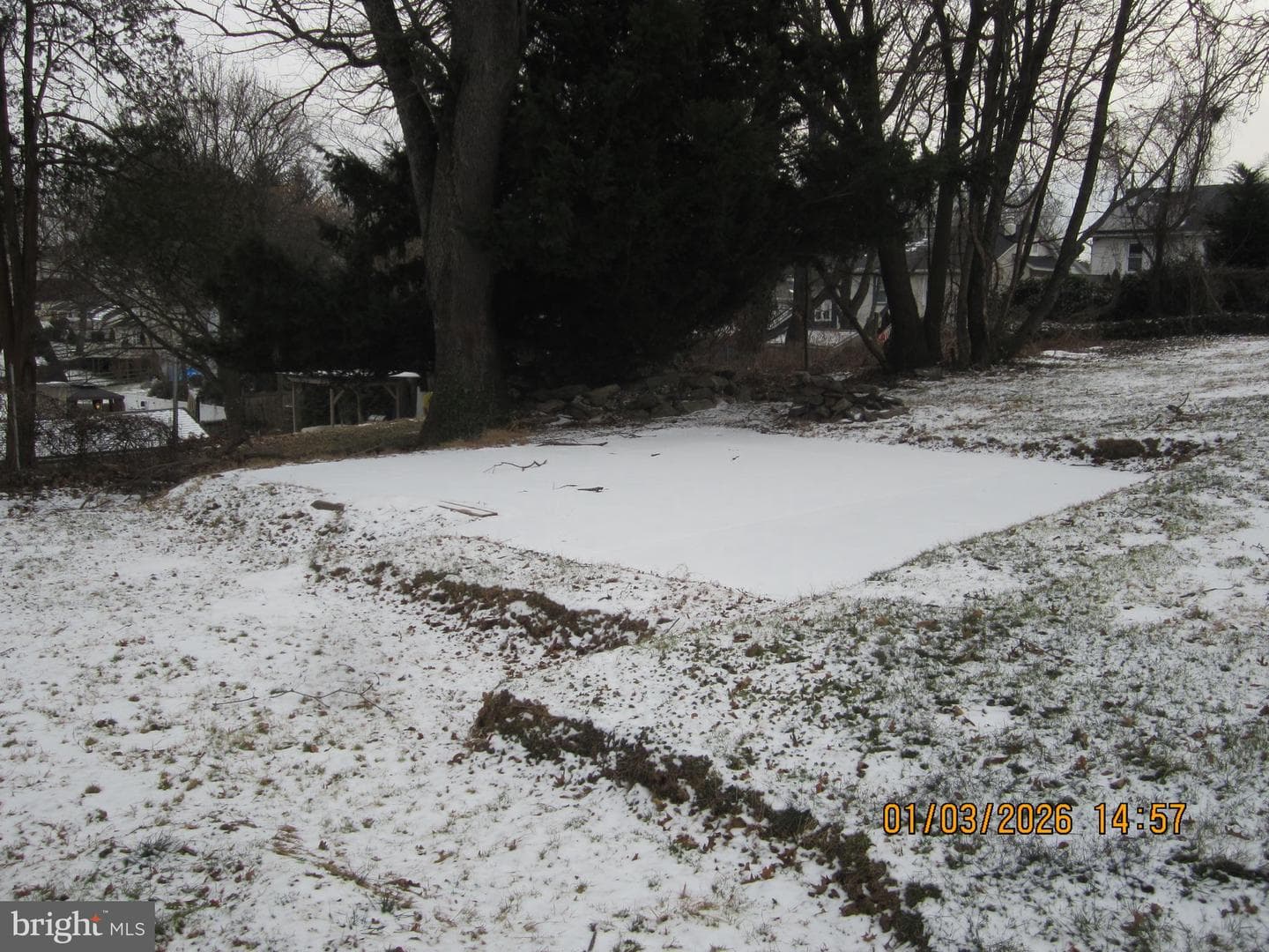 548 Jefferson Avenue photo 10