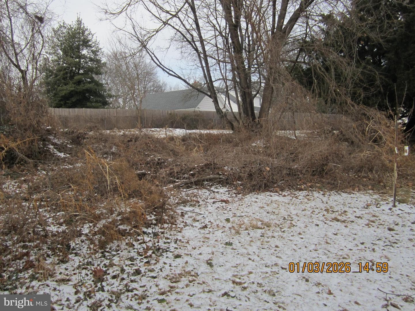 548 Jefferson Avenue photo 17