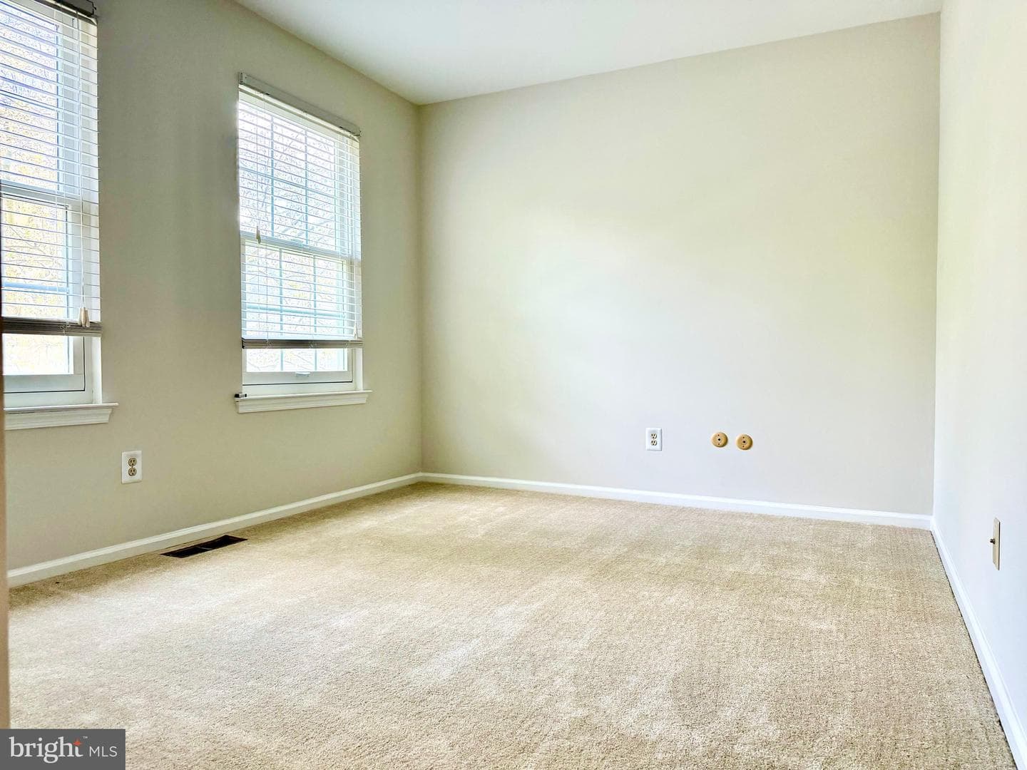 65 Woodbine Court photo 17