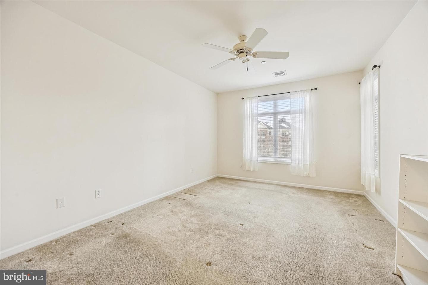 427 Carson Terrace photo 12