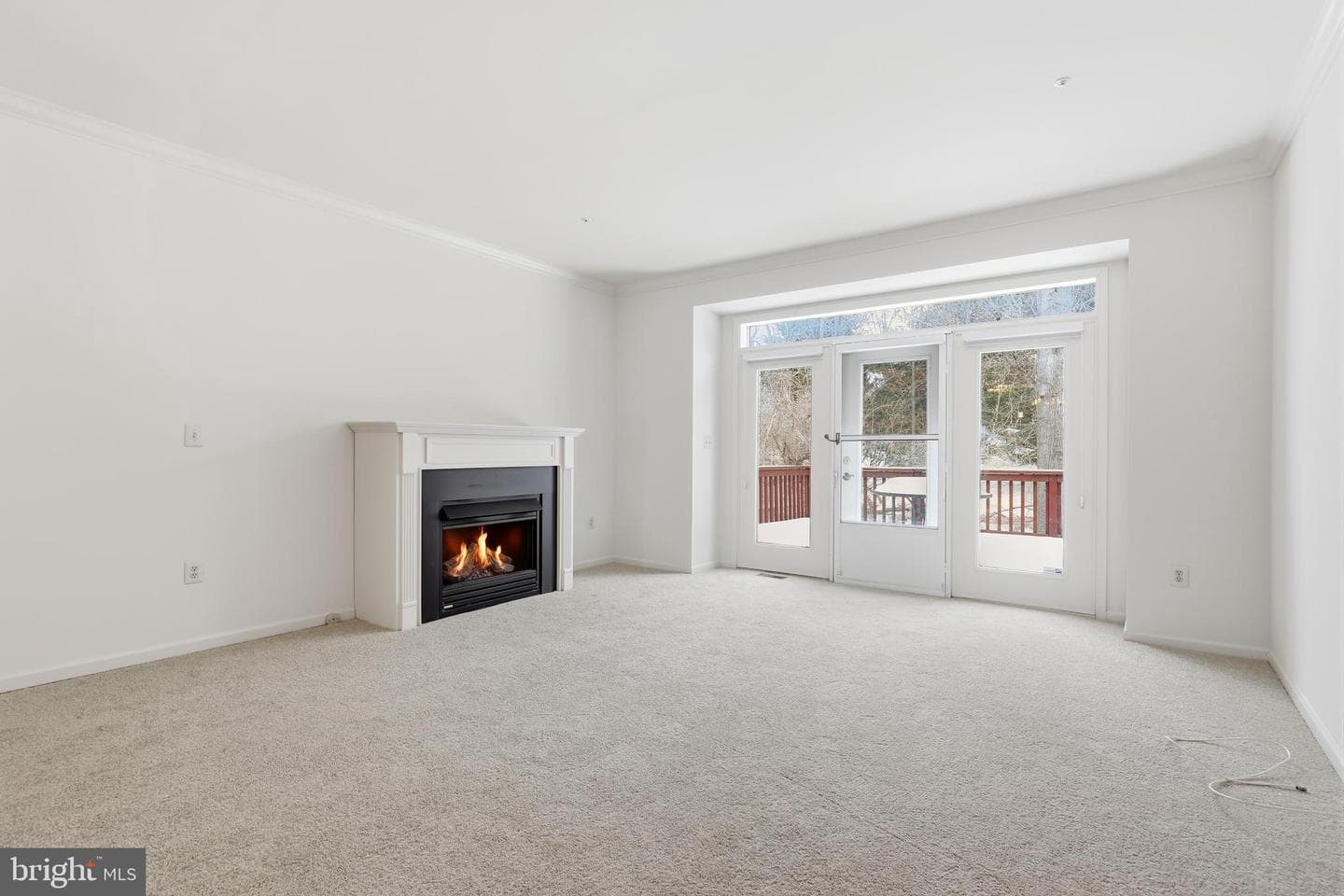 41 Stuart Dr photo 8