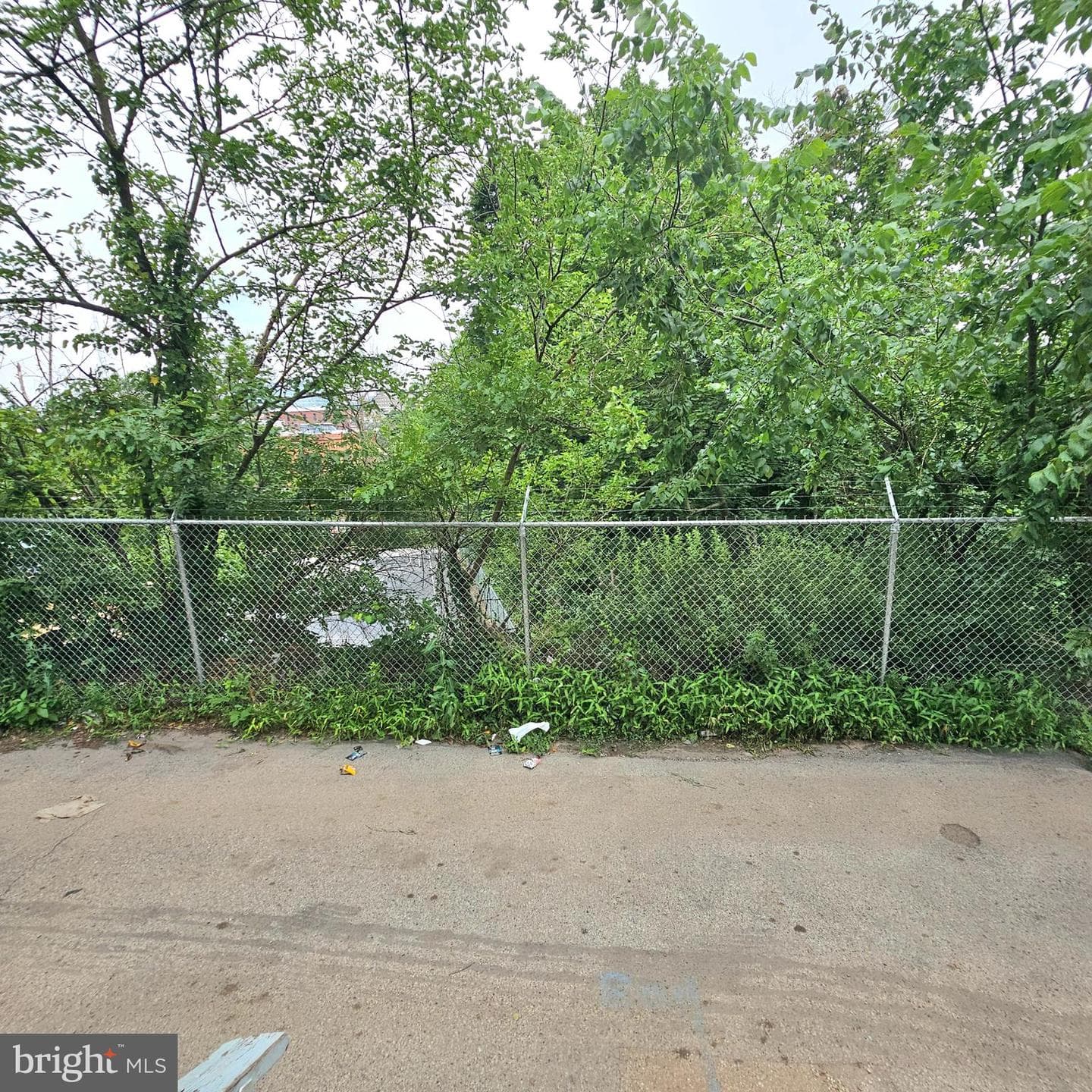 103 Pearl Street photo 25