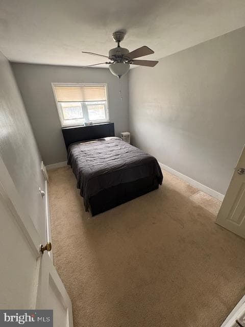 737 Shaw Avenue photo 21