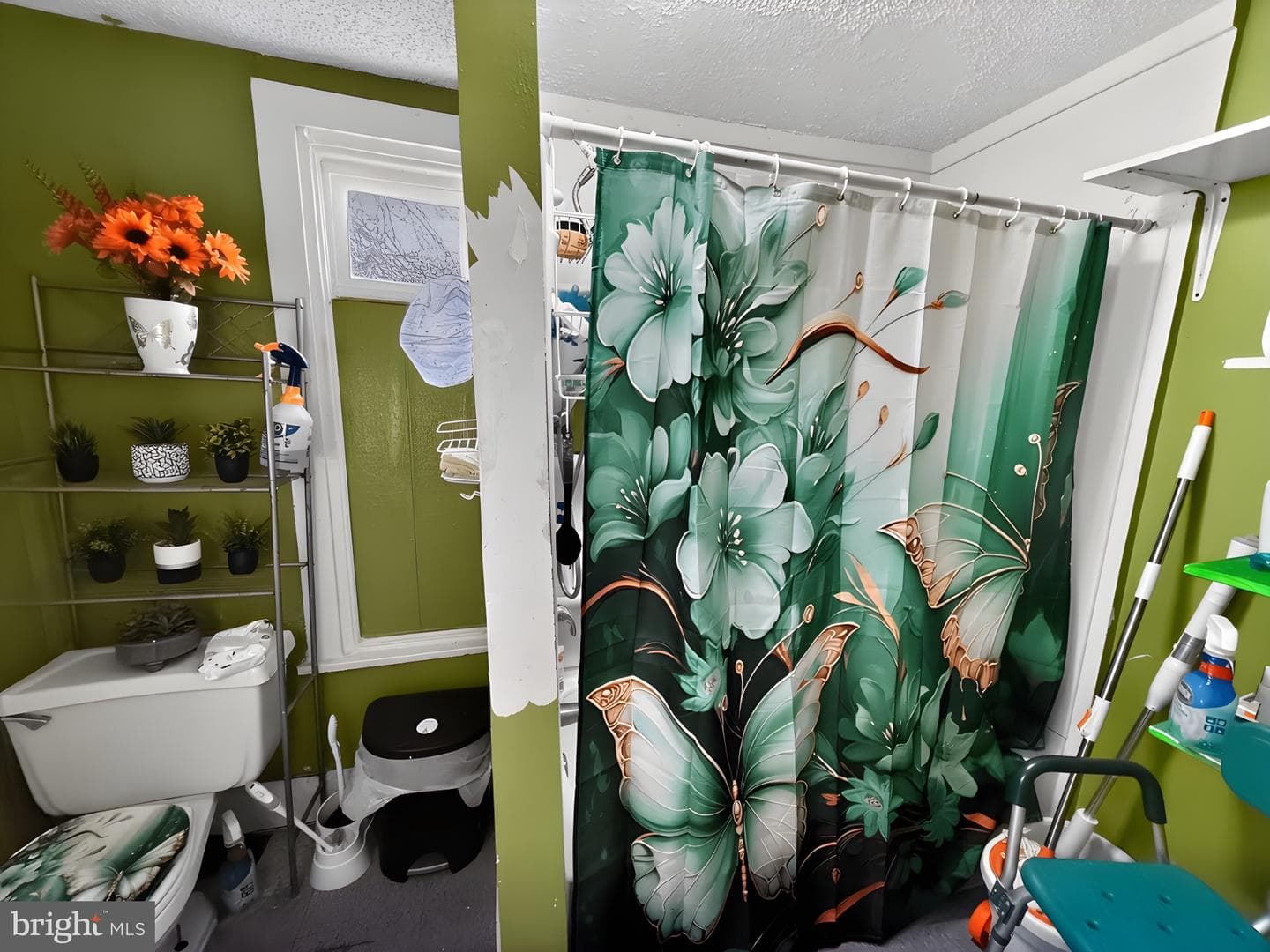 1040 Green Street photo 7