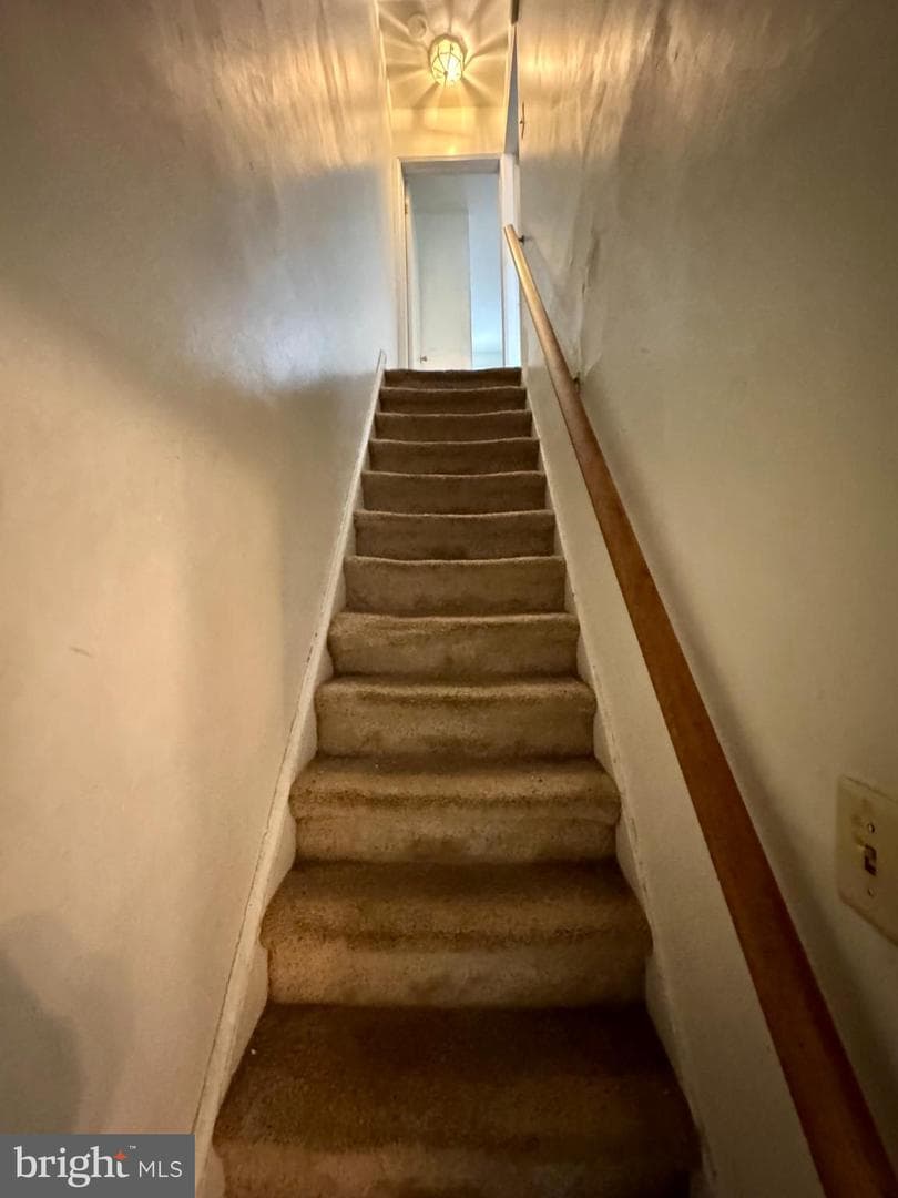 412 Beech Street photo 13