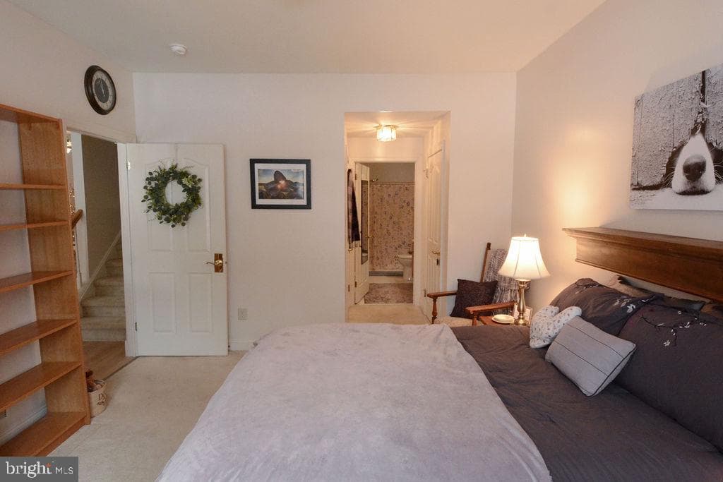443 Ruth Court photo 22