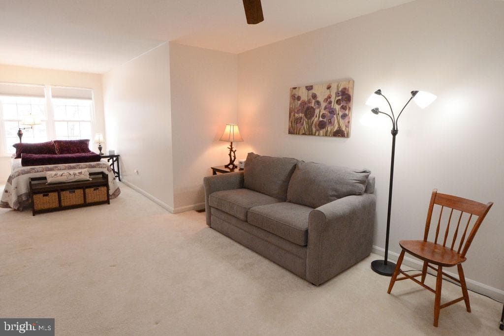 443 Ruth Court photo 29