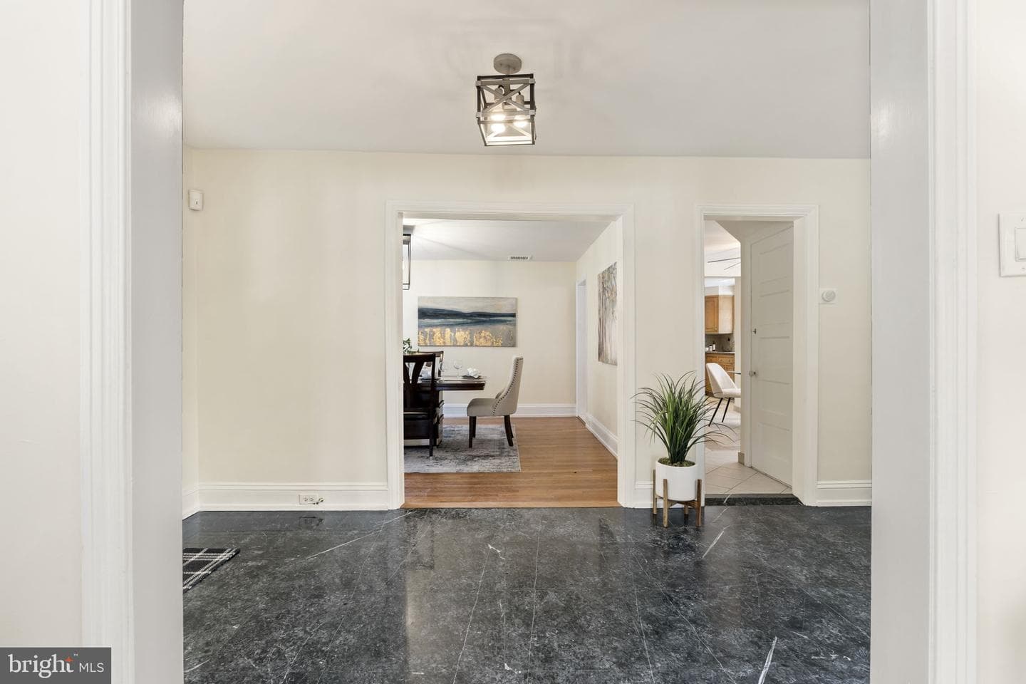 13 E Newfield Way photo 16