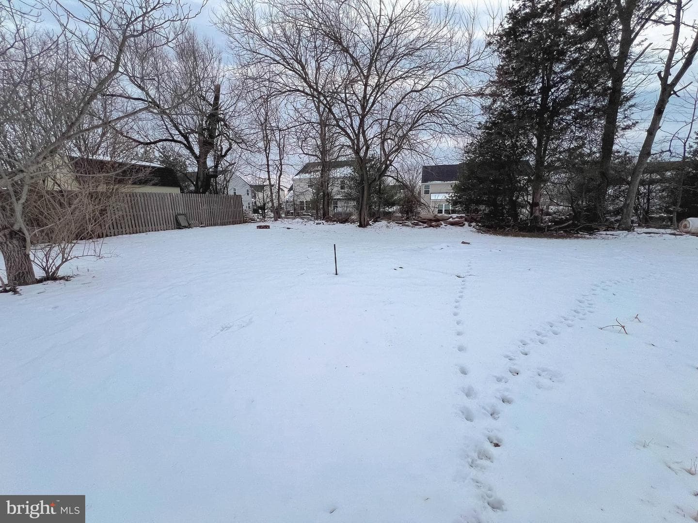 48a Fruitville Road photo 16