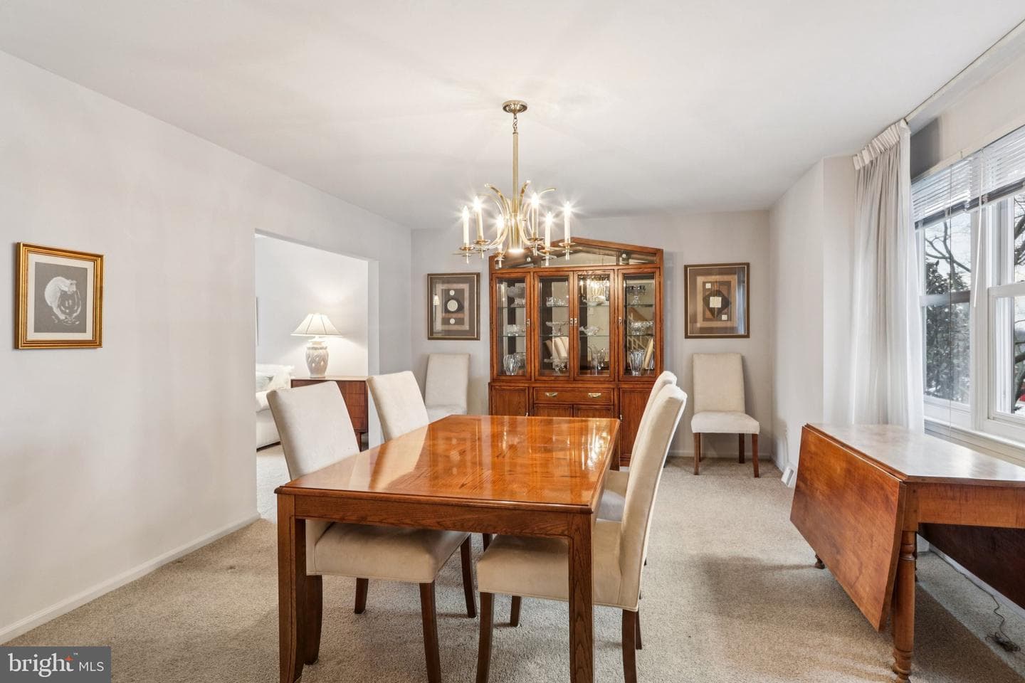 513 Mourning Dove Road photo 12