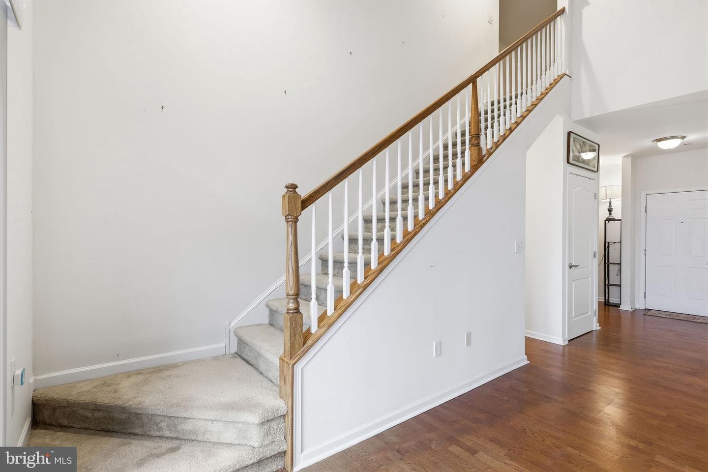 556 Carson Terrace photo 21