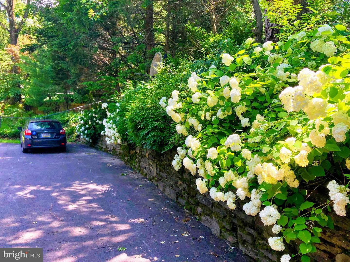 1413 June Lane photo 64