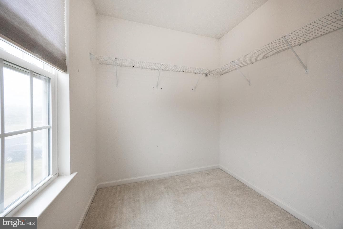 110 Fawn Drive photo 19