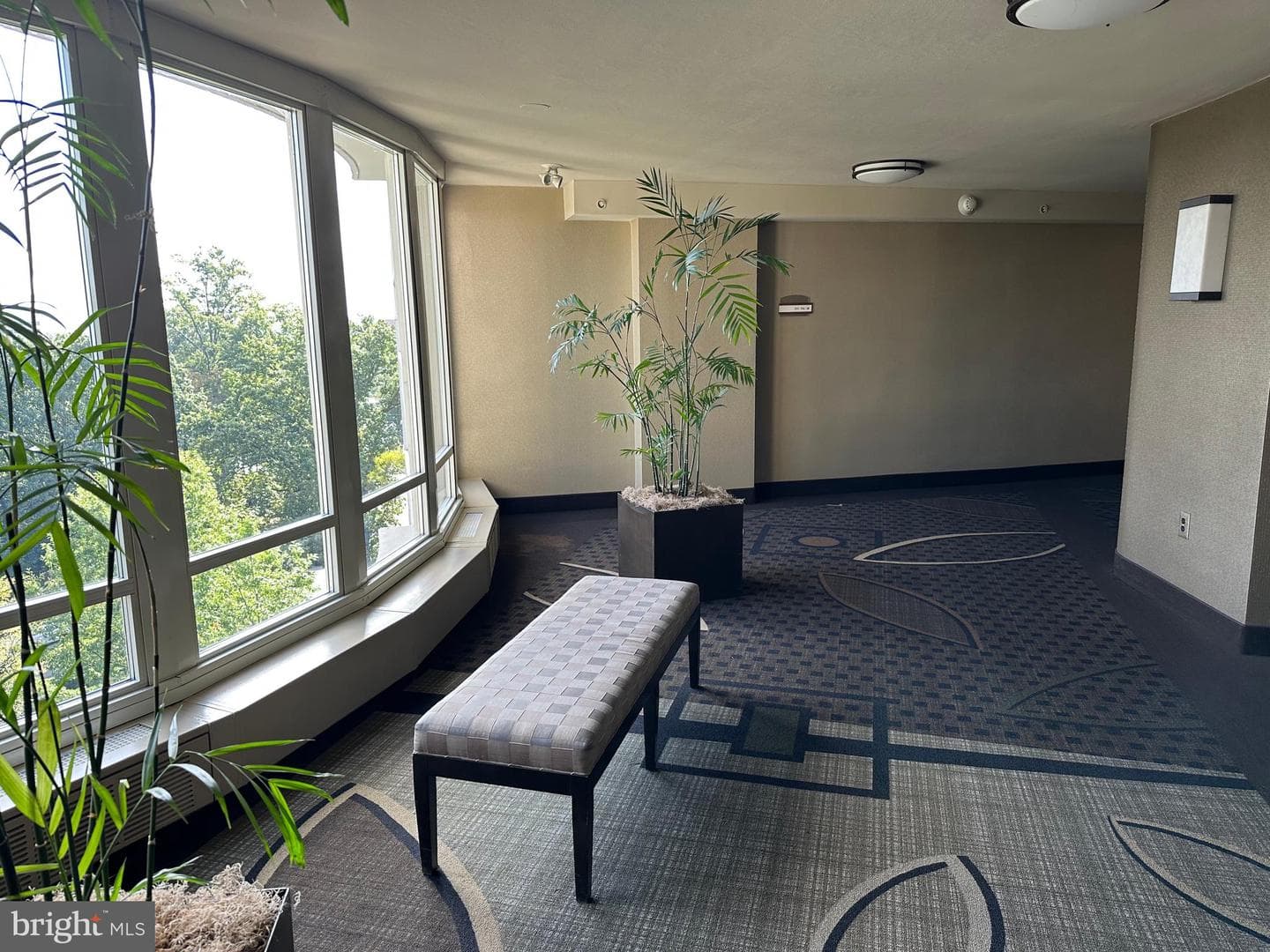 50 Belmont Avenue #916 photo 32