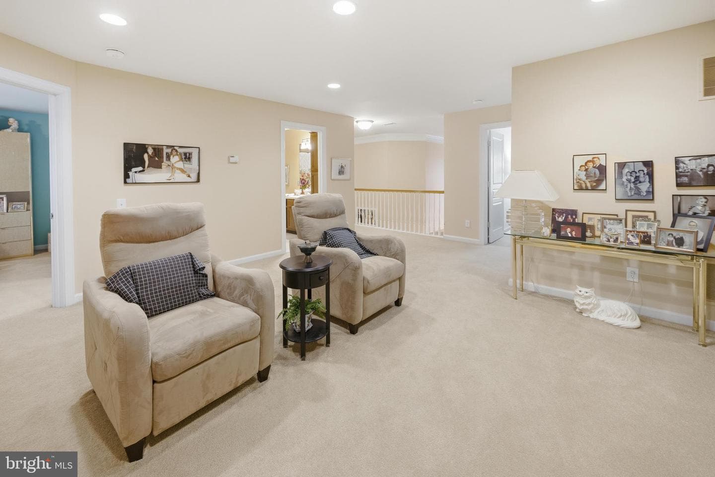 377 Primrose Drive photo 44