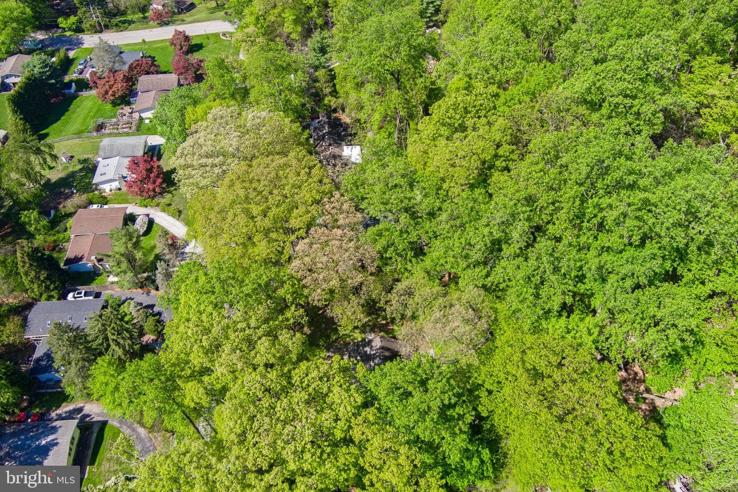 156 Gypsy Lane photo 51
