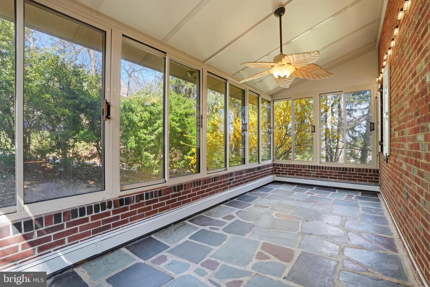 359 Lismore Avenue photo 20