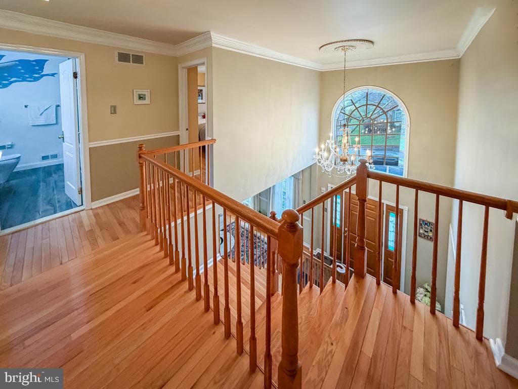 104 Augusta Drive photo 25