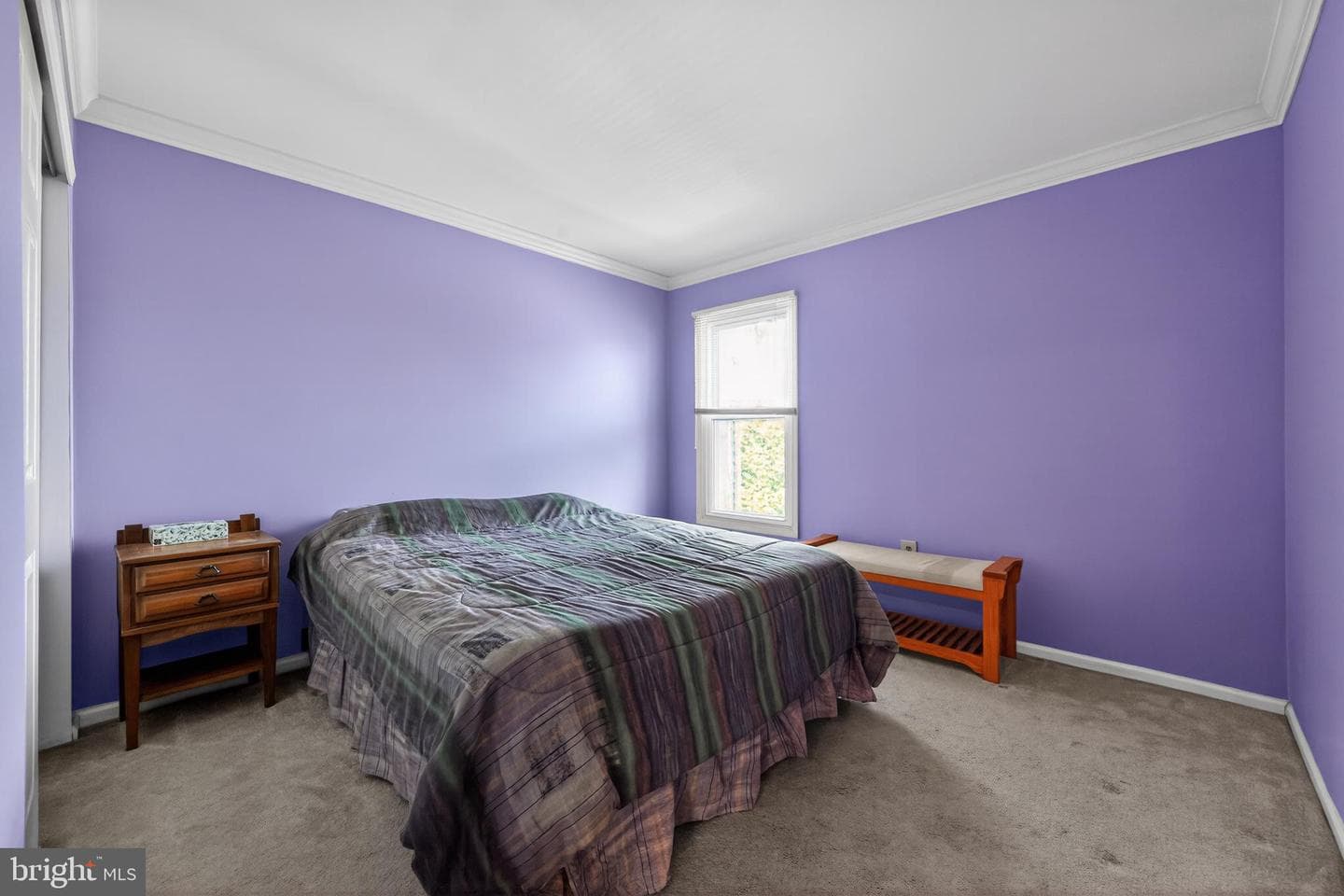 62 Harlow Circle photo 17