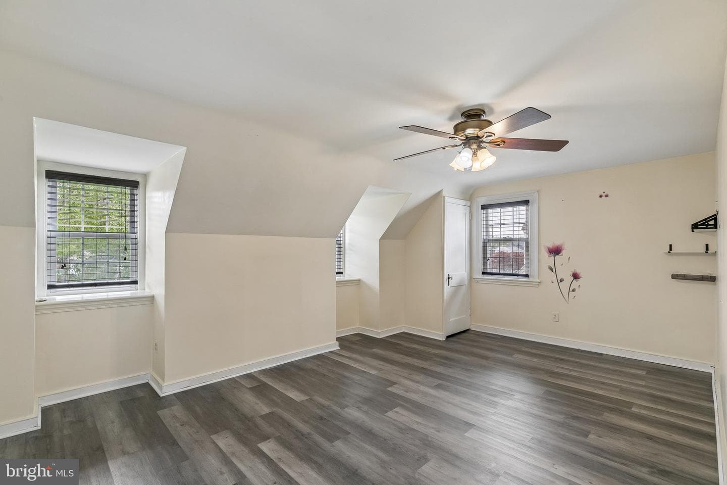 556 Anne Street photo 14
