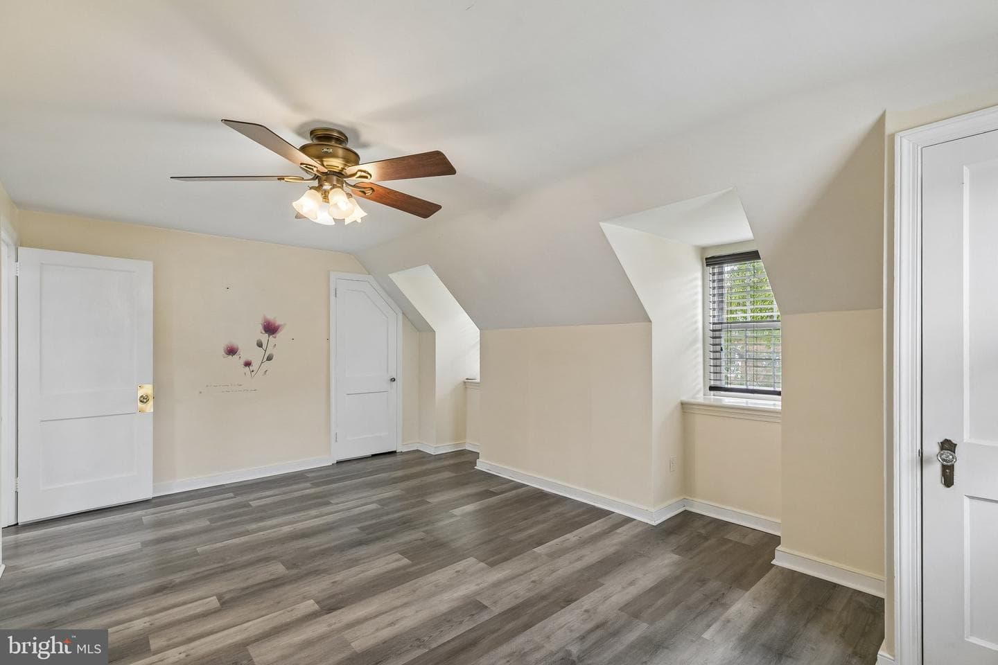 556 Anne Street photo 17