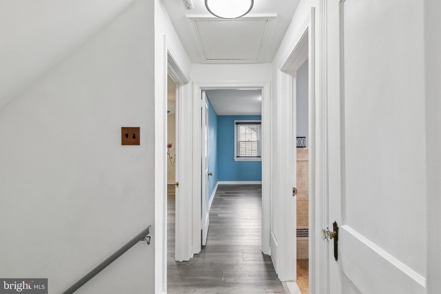 556 Anne Street photo 9