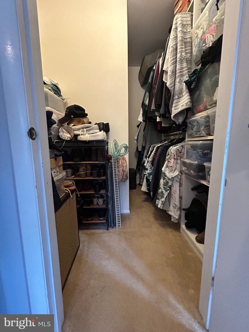 107 Stockton Court photo 19