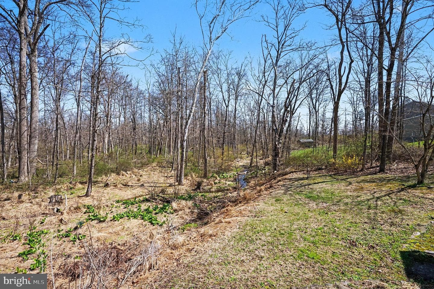 141 Papermill Road photo 41