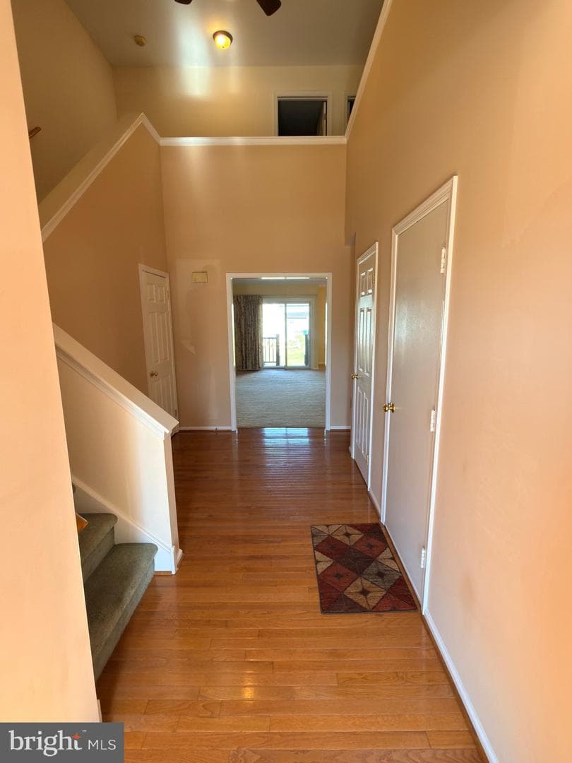 102 Elberta Drive photo 2