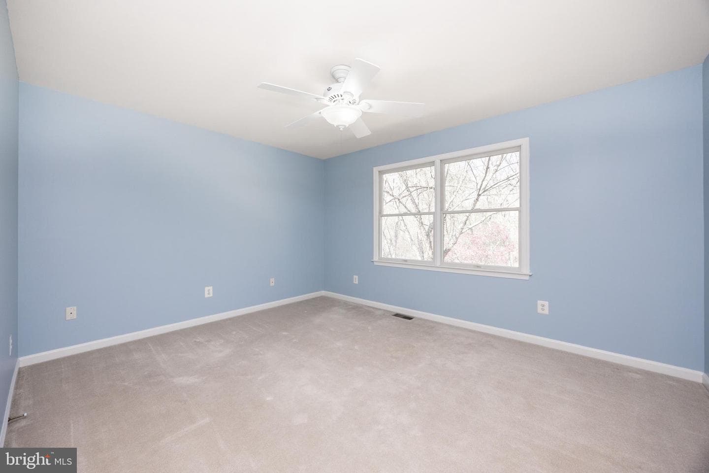 1012 Redtail photo 45