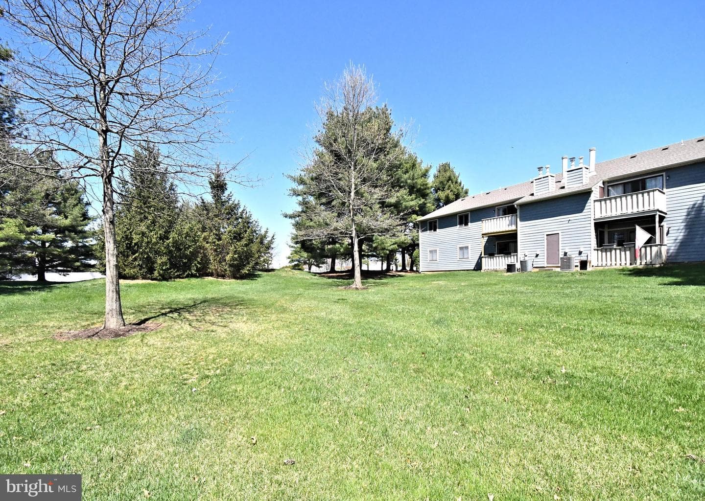 216 Stockton Court photo 37