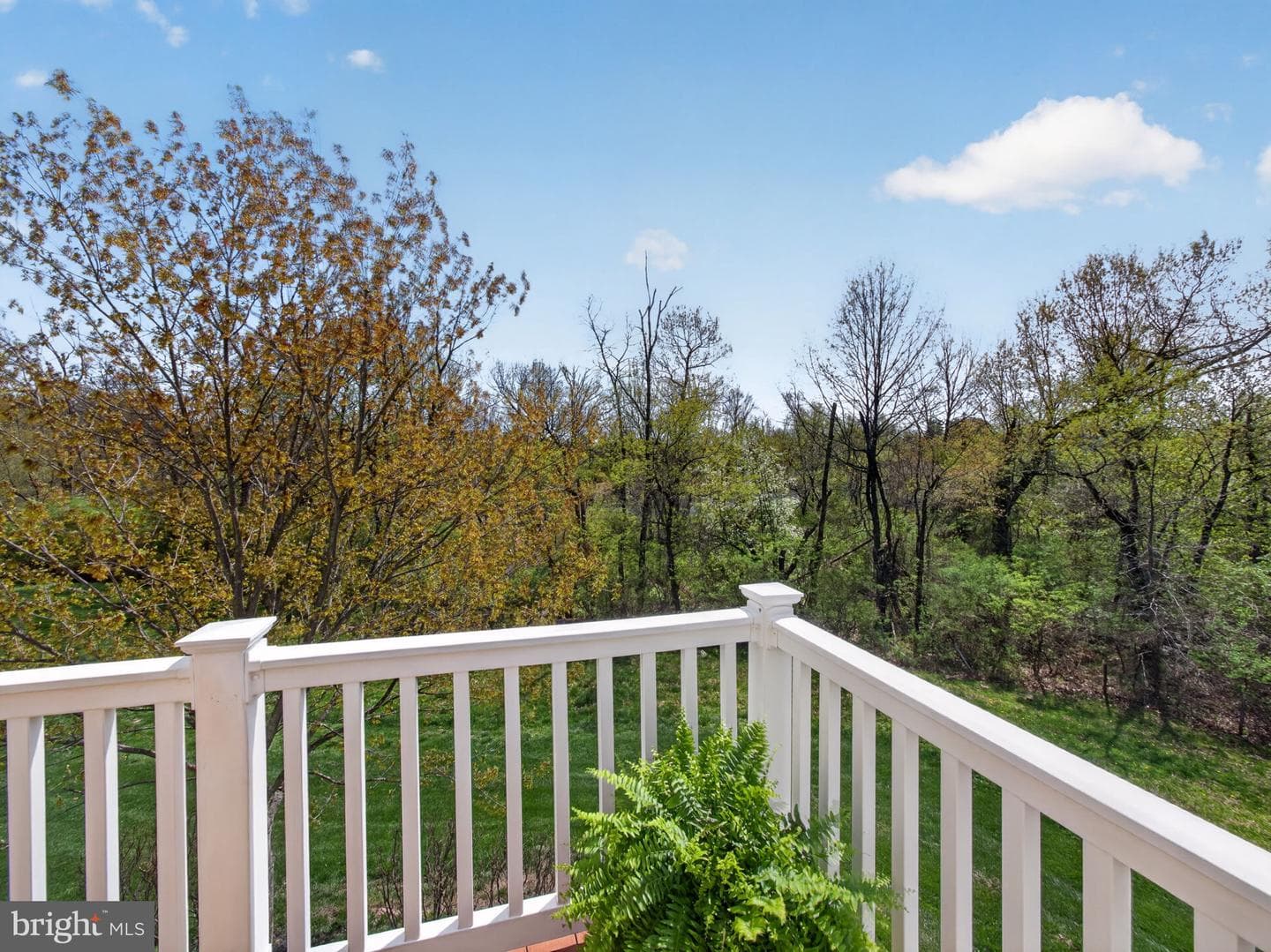 110 Wilder Way photo 11