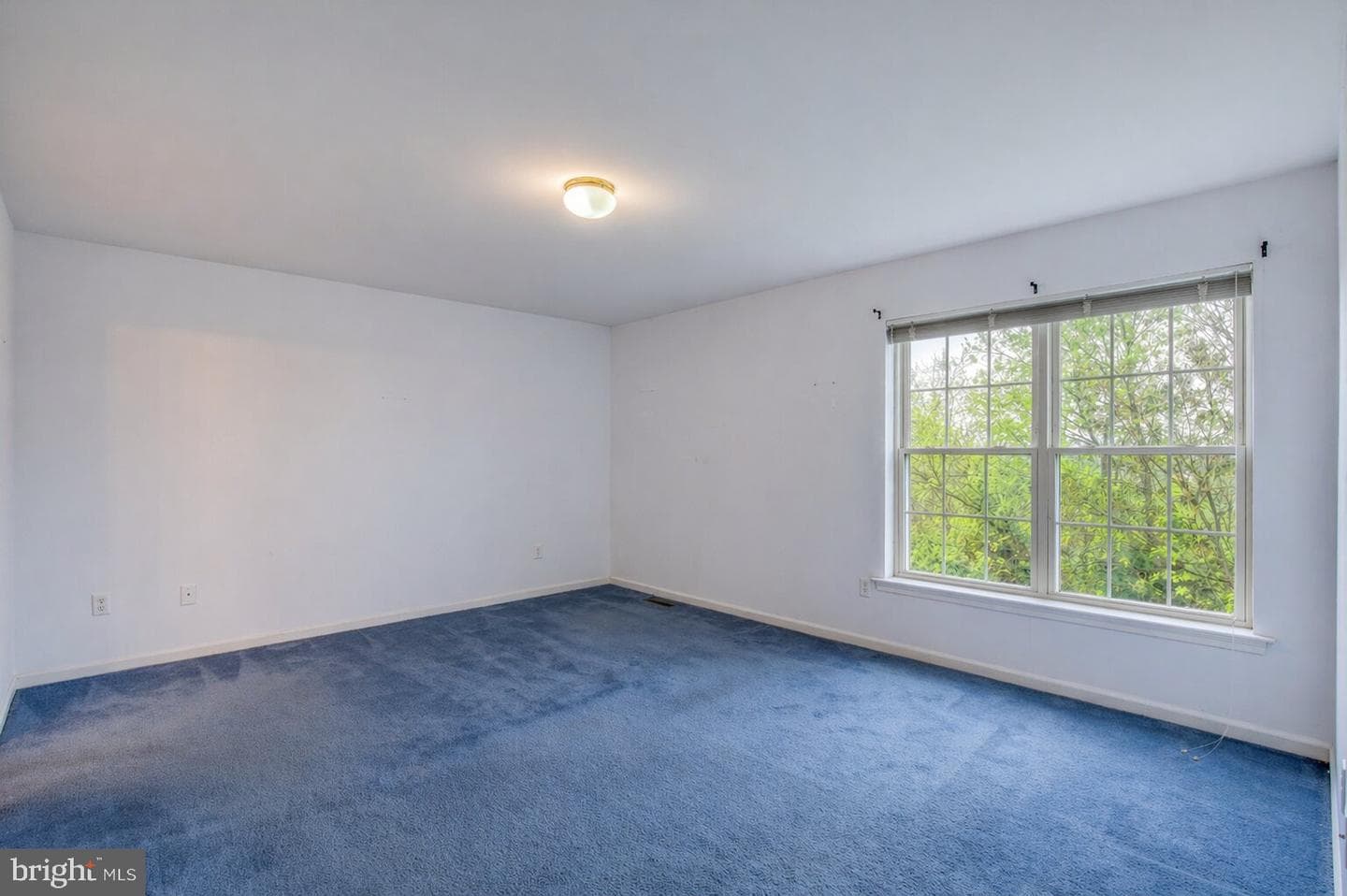 117 W Harmony Drive photo 20