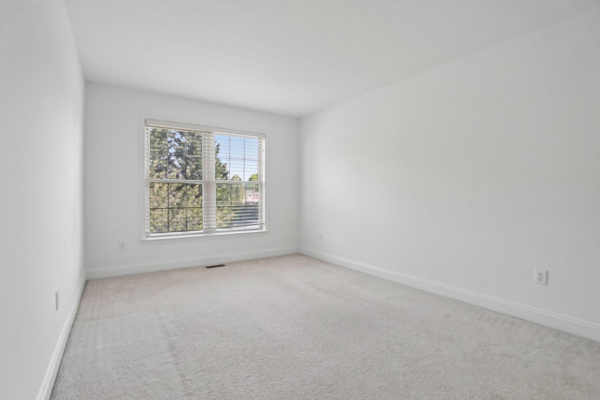 310 Barefield Lane photo 20