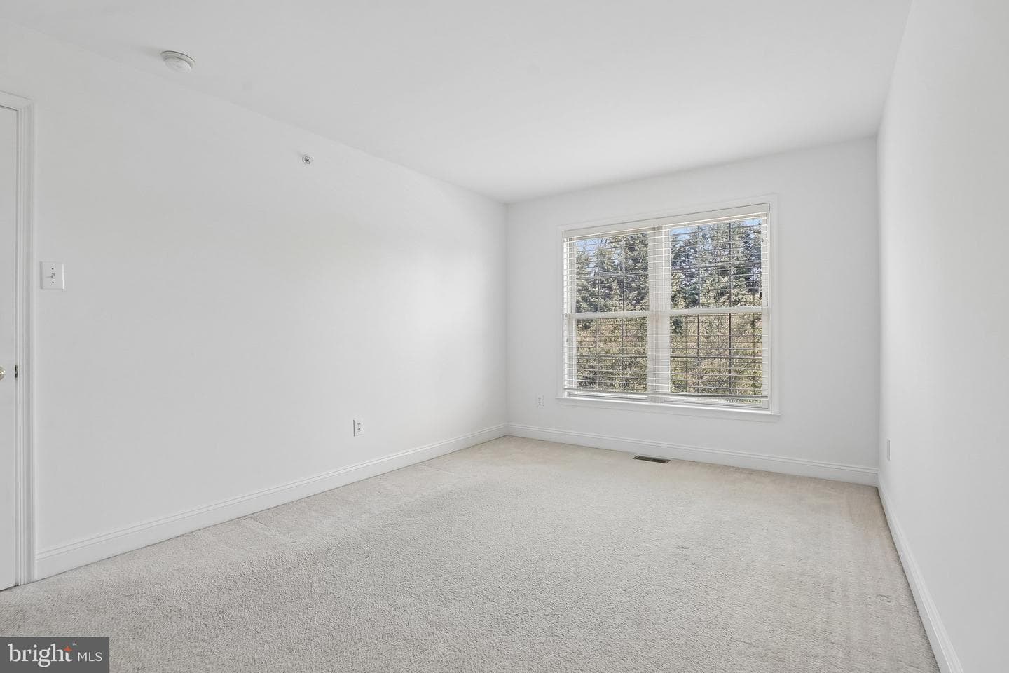 310 Barefield Lane photo 21