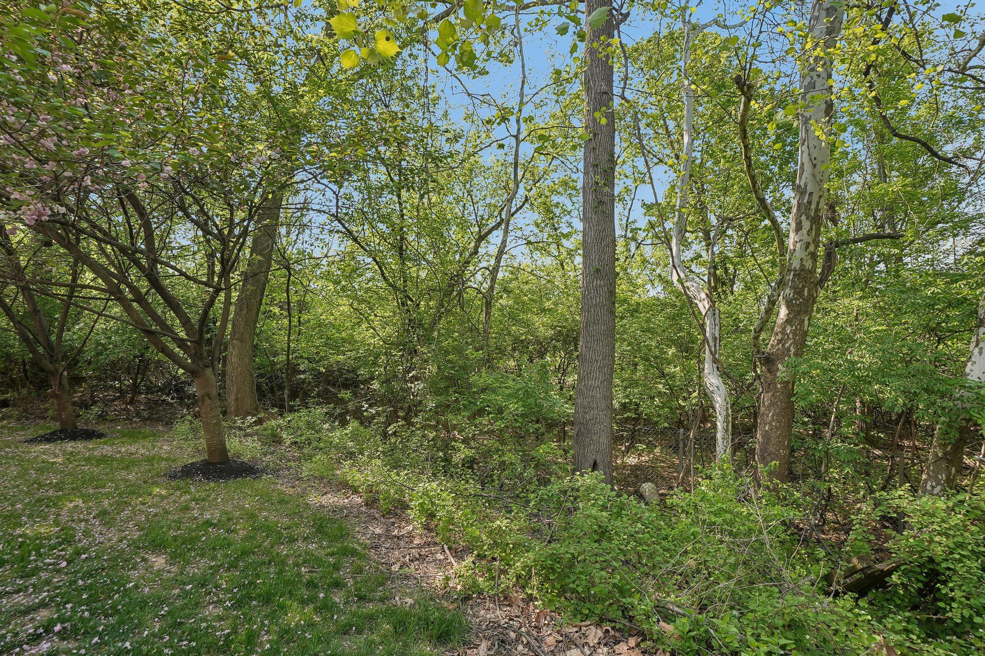 310 Barefield Lane photo 29
