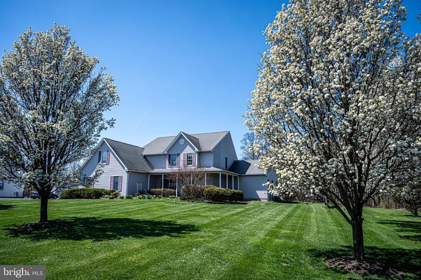 133 Greenwood Avenue photo 49