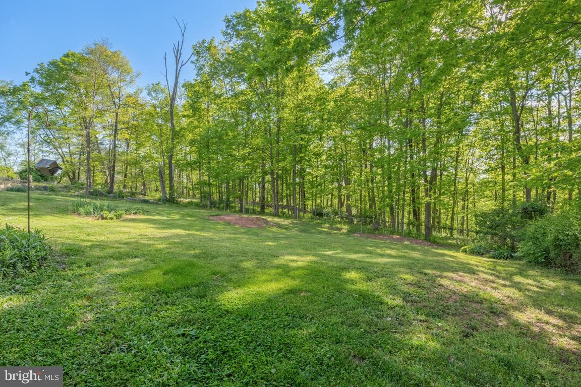 4908 Martha Lane photo 49