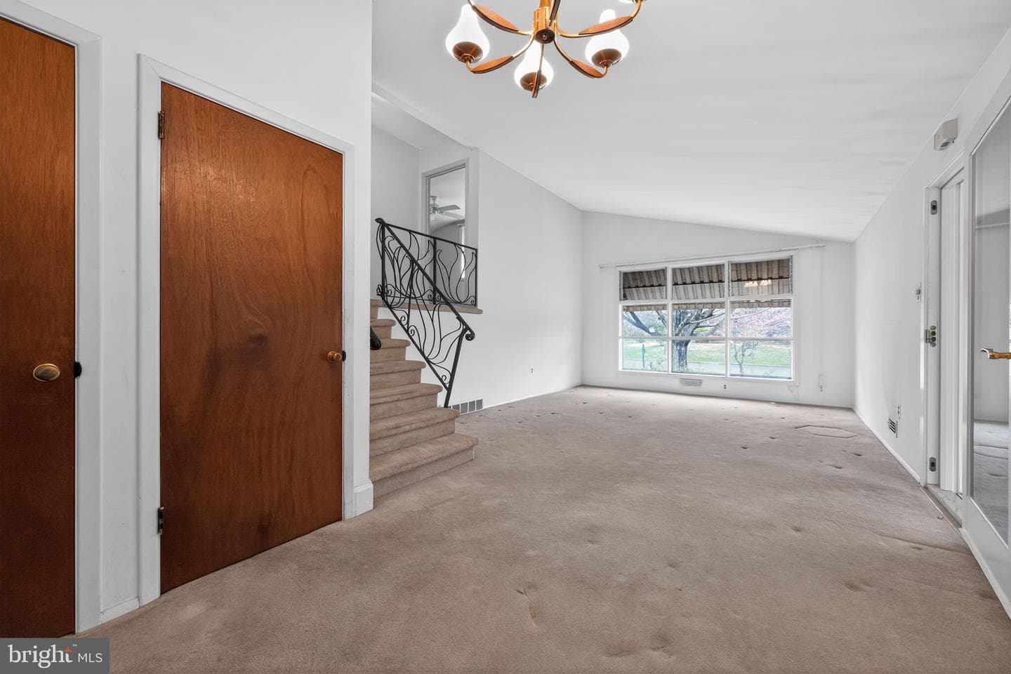 50 Ivy Lane photo 4