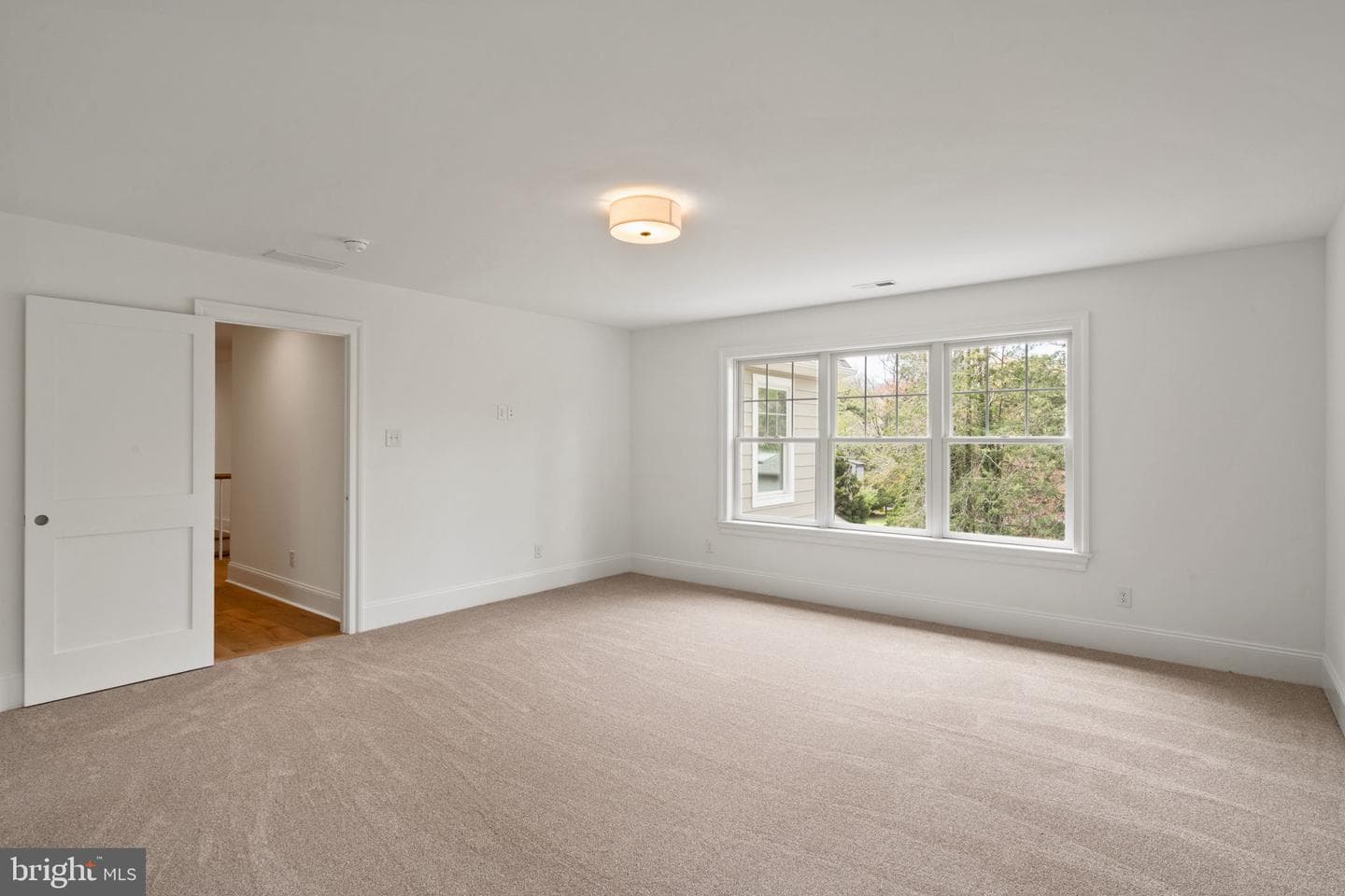 13 Elmwood Avenue photo 55
