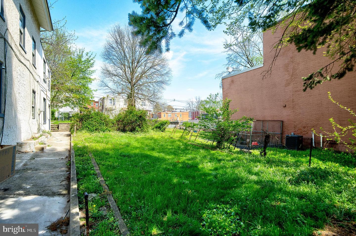 241 Chestnut Street photo 4