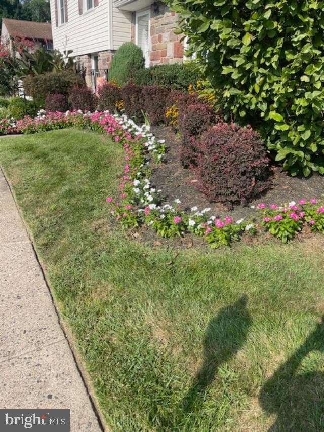 1170 Ballytore Road photo 5