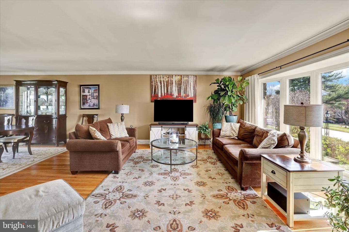 1170 Ballytore Road photo 8